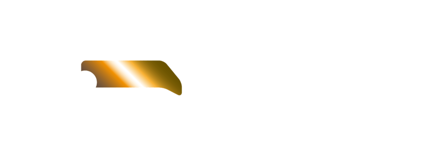 ACCESSMANAGER-LOGO-BRONZE-W