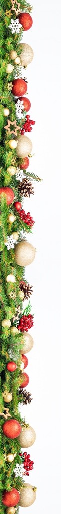 shutterstock_1214753140 - Kopie